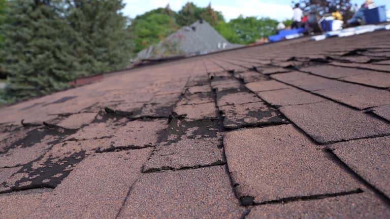 Best Sheet Metal Roofing  in Connell, WA